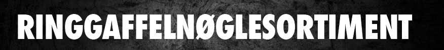 3105-B1:/content/teaser/2019/ORSY Mix & Match/Katalogoverskrift_Ringgaffelnoeglesortiment.jpg
